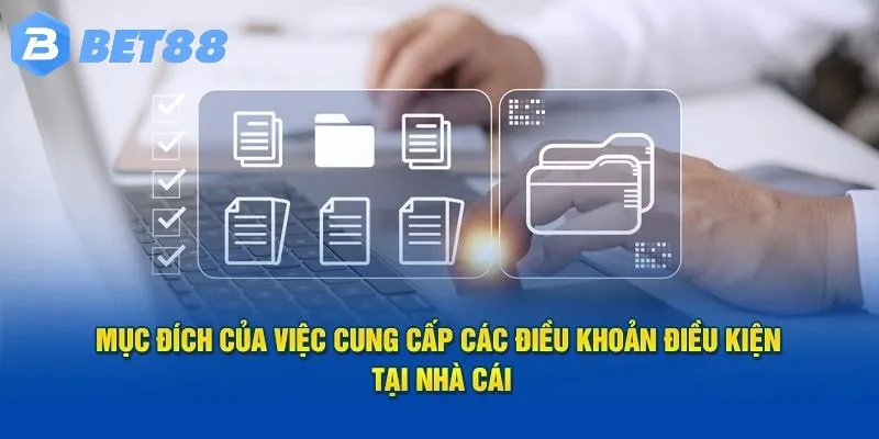 Điều Khoản Điều Kiện 5 Giới thiệu chính sách điều khoản sử dụng dịch vụ cá cược