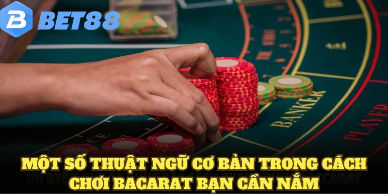 Một số thuật ngữ cơ bản trong cách chơi Bacarat bạn cần nắm